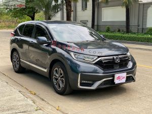 Xe Honda CRV L 2023