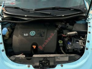 Xe Volkswagen New Beetle 1.6 AT 2009