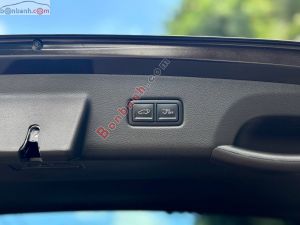 Xe Kia Carnival Signature 2.2D 2025