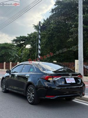 Xe Toyota Corolla altis 1.8V 2023