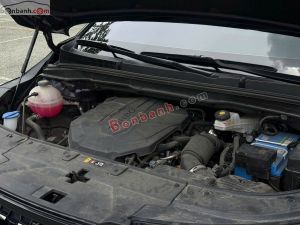 Xe Kia Carnival Signature 2.2D 2024